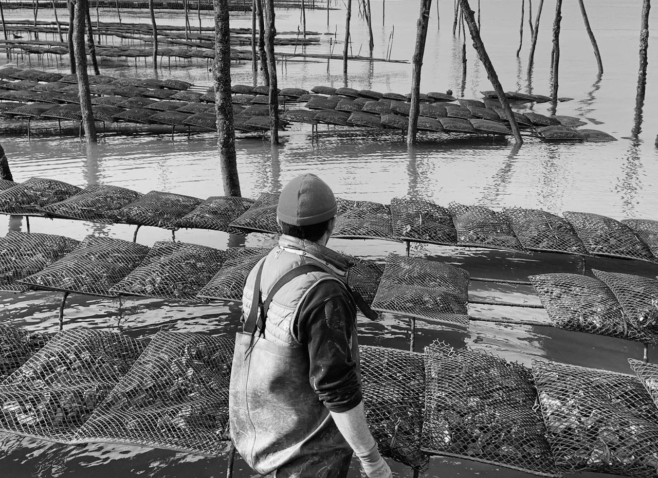 Ostréiculteur au travail dans les parcs à huîtres du Bassin d'Arcachon